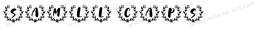 samll caps字体转换